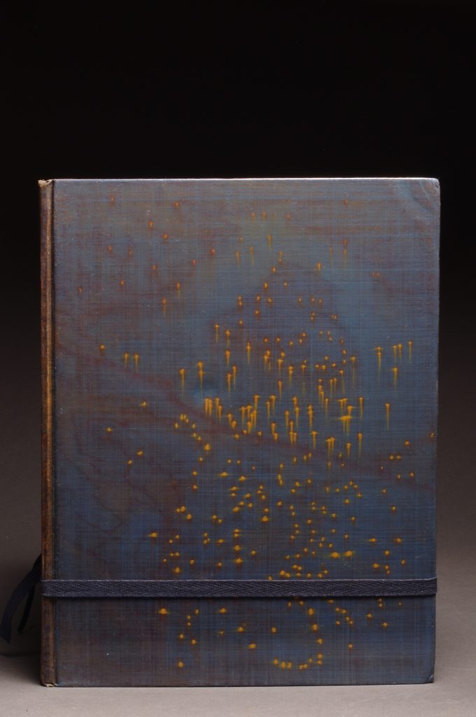 Guy Laramée, Pilgrims (For Noah B.), 2016
Livre sculpté avec couvertures peintes, huile sur couverture en toile apprêtée, encres, pigments, vernis damar, ruban et boucle en bois, 29,2 x 22,9 x 22,9 cm.