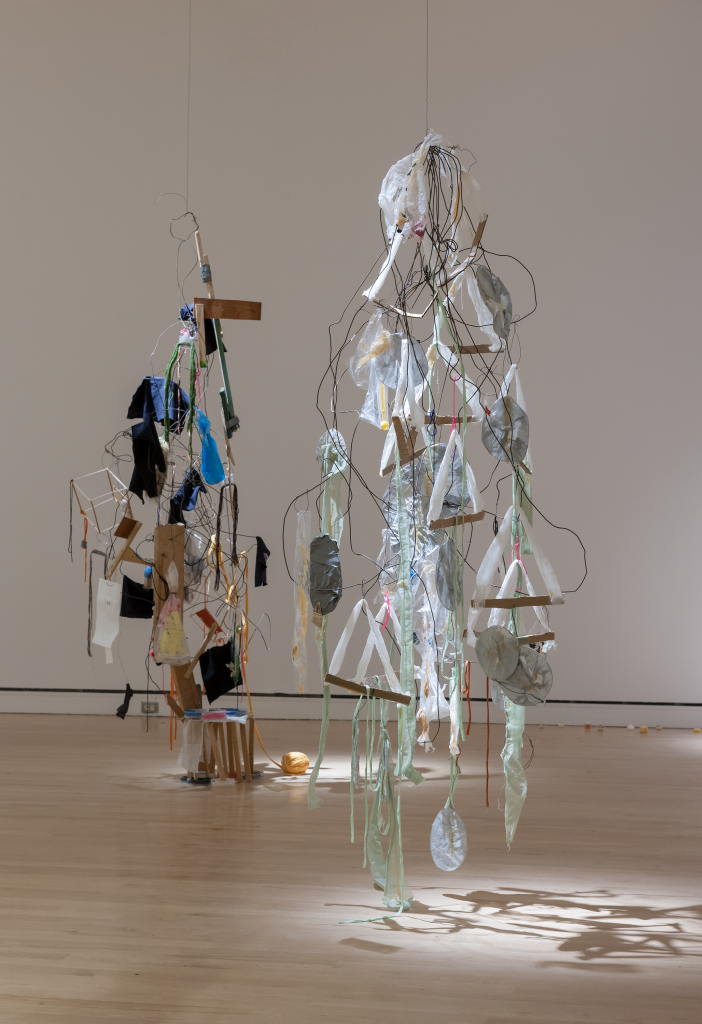 Serge Murphy,
Le Songe végétal, 2005
Broche de métal, papier, plastique, tissu et ouate, 300 x 100 x 100 cm (environ pour chacun des douze éléments); dimensions variables pour l'ensemble