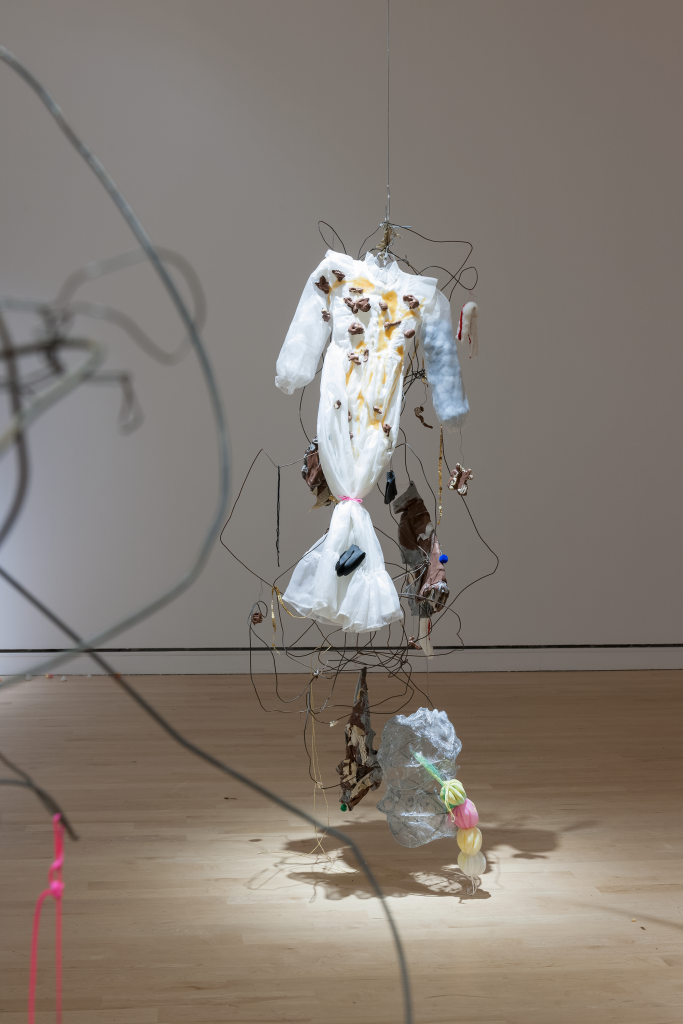 Serge Murphy,
Le Songe végétal, 2005
Broche de métal, papier, plastique, tissu et ouate, 300 x 100 x 100 cm (environ pour chacun des douze éléments); dimensions variables pour l'ensemble