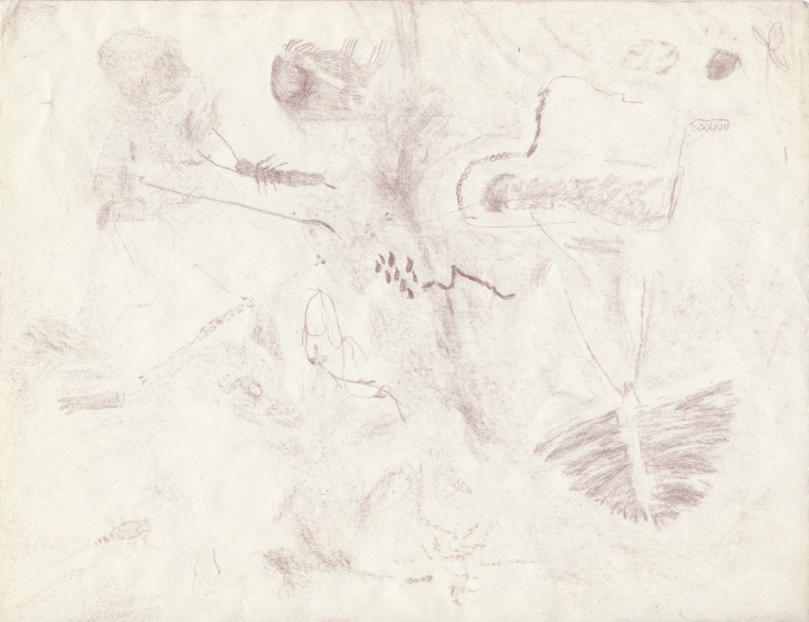 Maude Arès, Paysage d’outils, 2019-2021.
Matériaux : matières terreuses et insectes – Papier 3 (crayon de bois, de plomb et de cire sur papier graphite)
